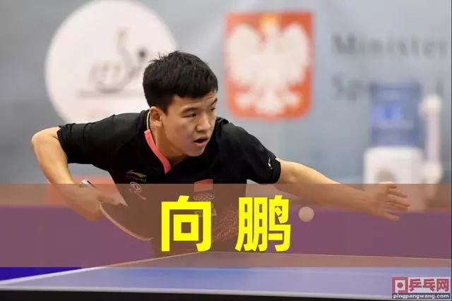 入规则陷阱 入规则陷阱