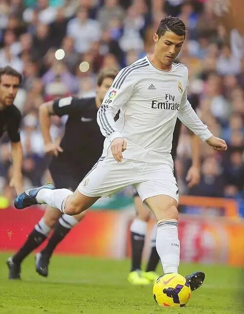 一种理性态 一种理性态